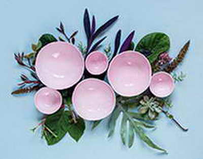 Suyun altında yüksək intellektə malik canlılar yaşayır