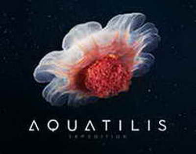 Астанада журналистер Тоқаевтан көмек сұрады